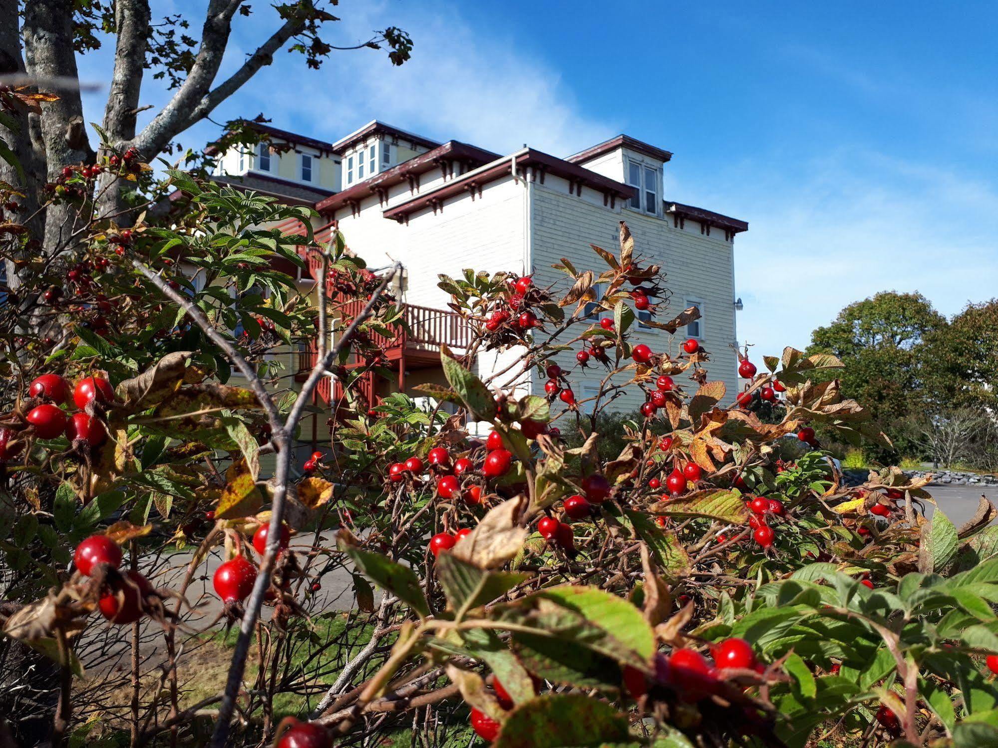 Homeport Historic B&B Saint John Esterno foto